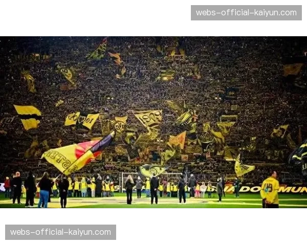 0.3人的差距：多特蒙德-黄墙-被欧足联贴不合格标签